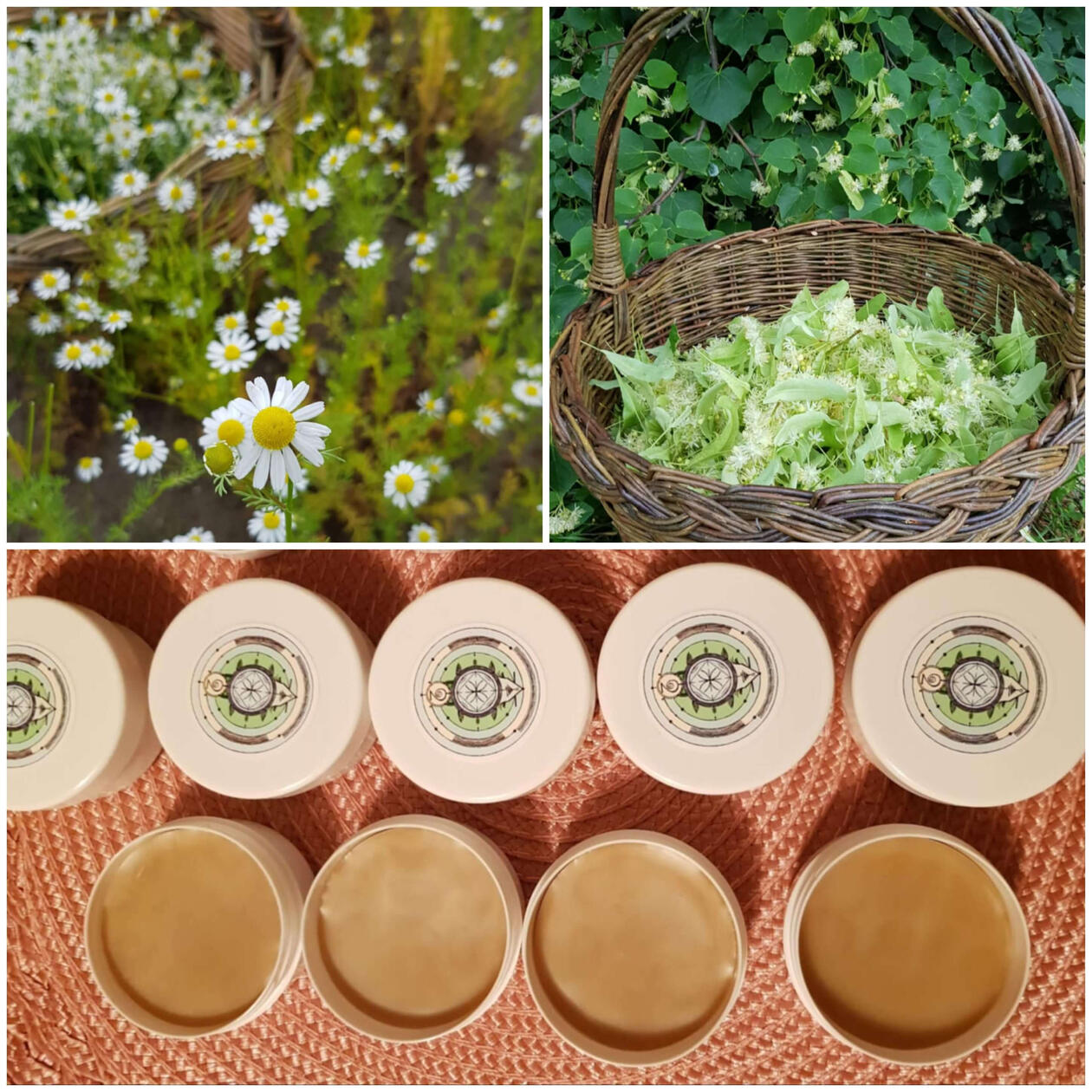 Liepų- ramunėlių kremas sausai odai