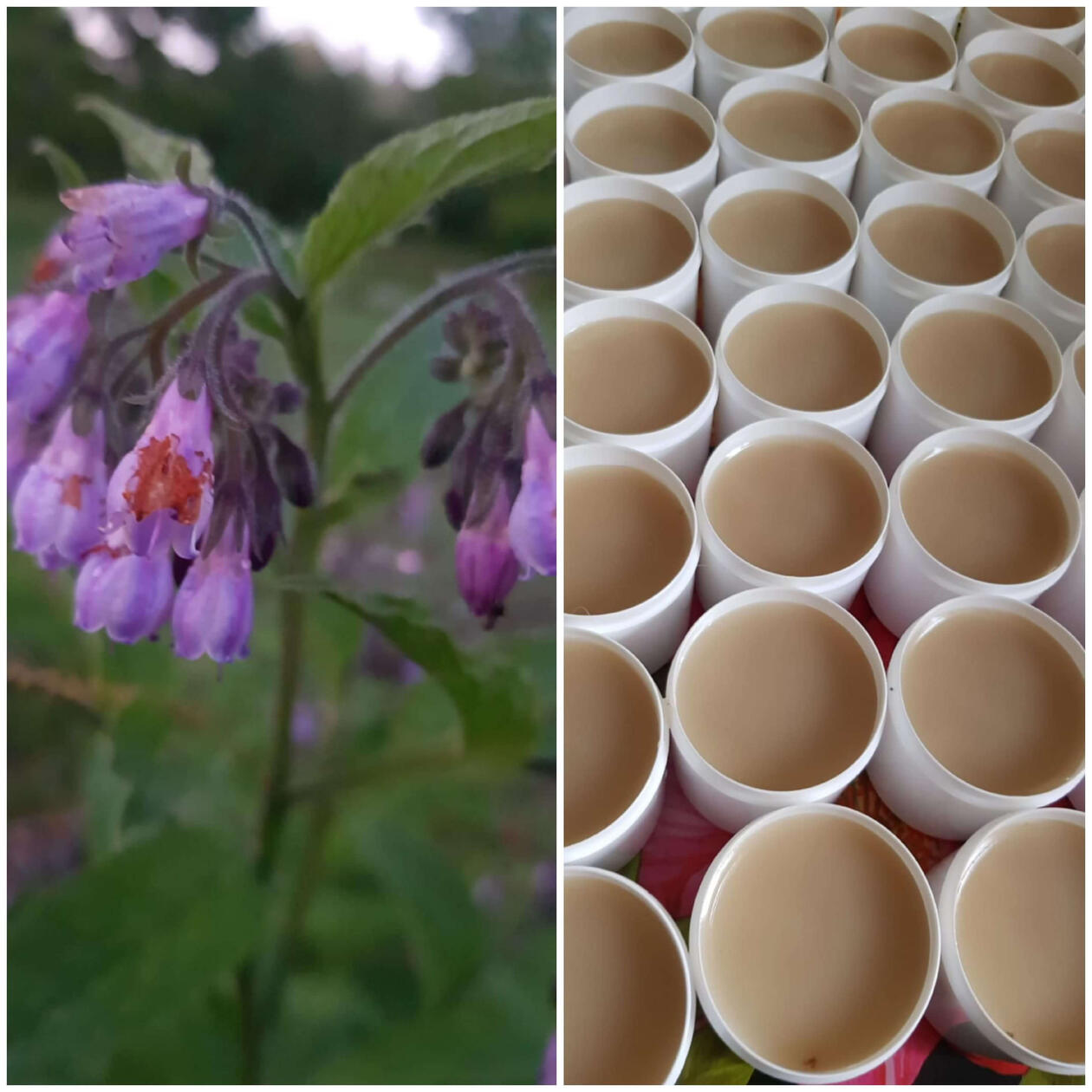 Kaulažolių tepalas 100ml Kaulažolių tepalas 100ml