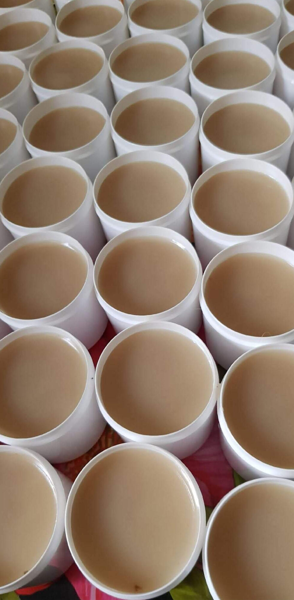 Kaulažolių tepalas 100ml