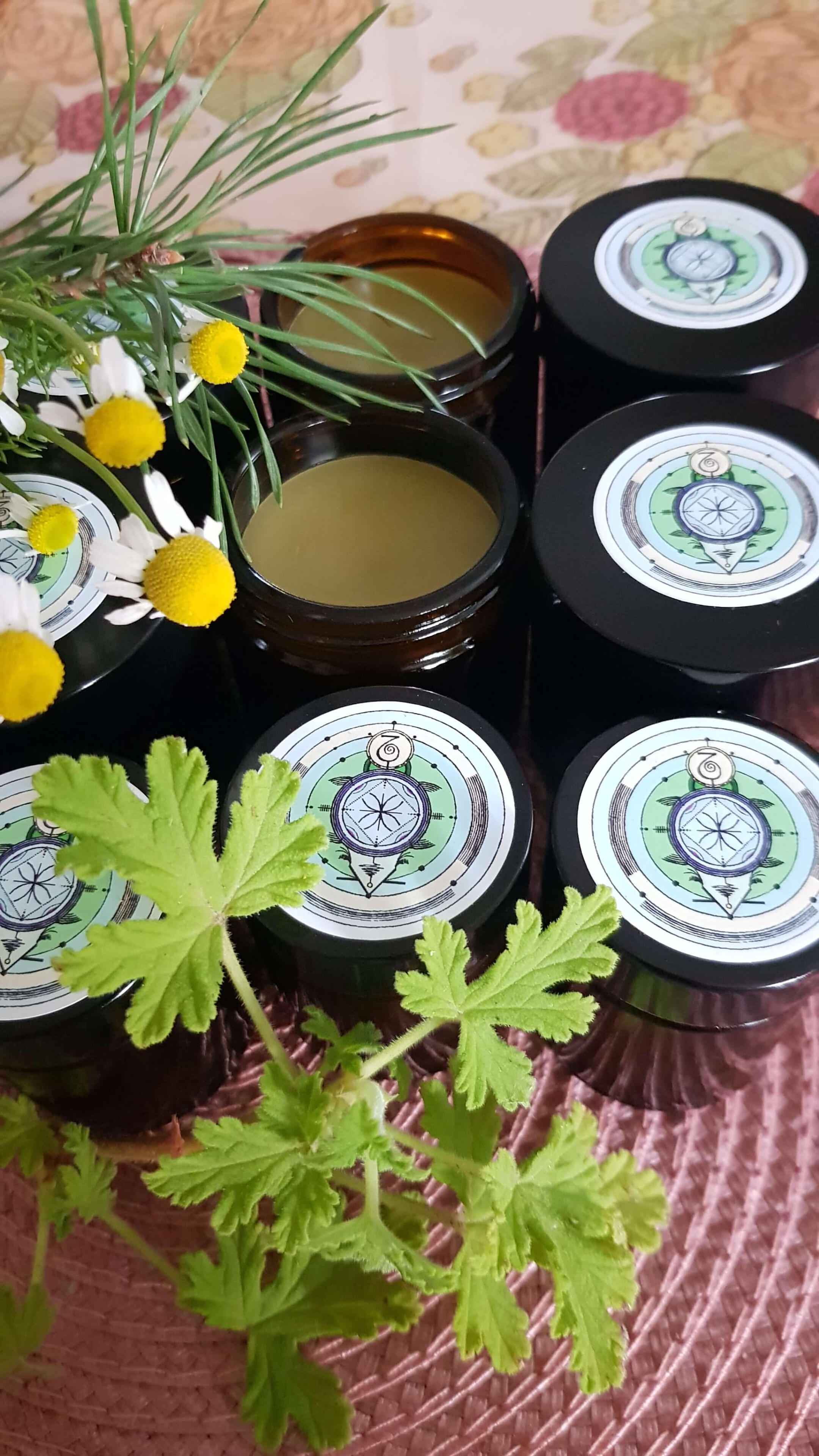 Pušų spyglių antibakterinis tepalas